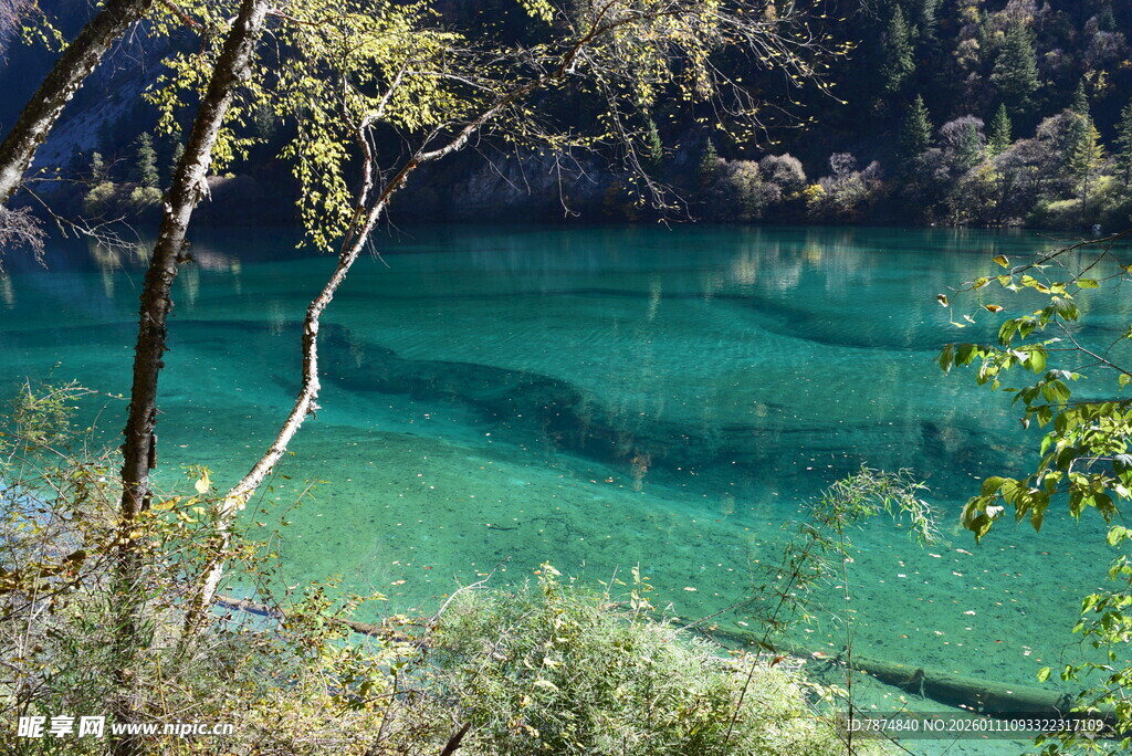 清澈碧绿的山间湖泊美景