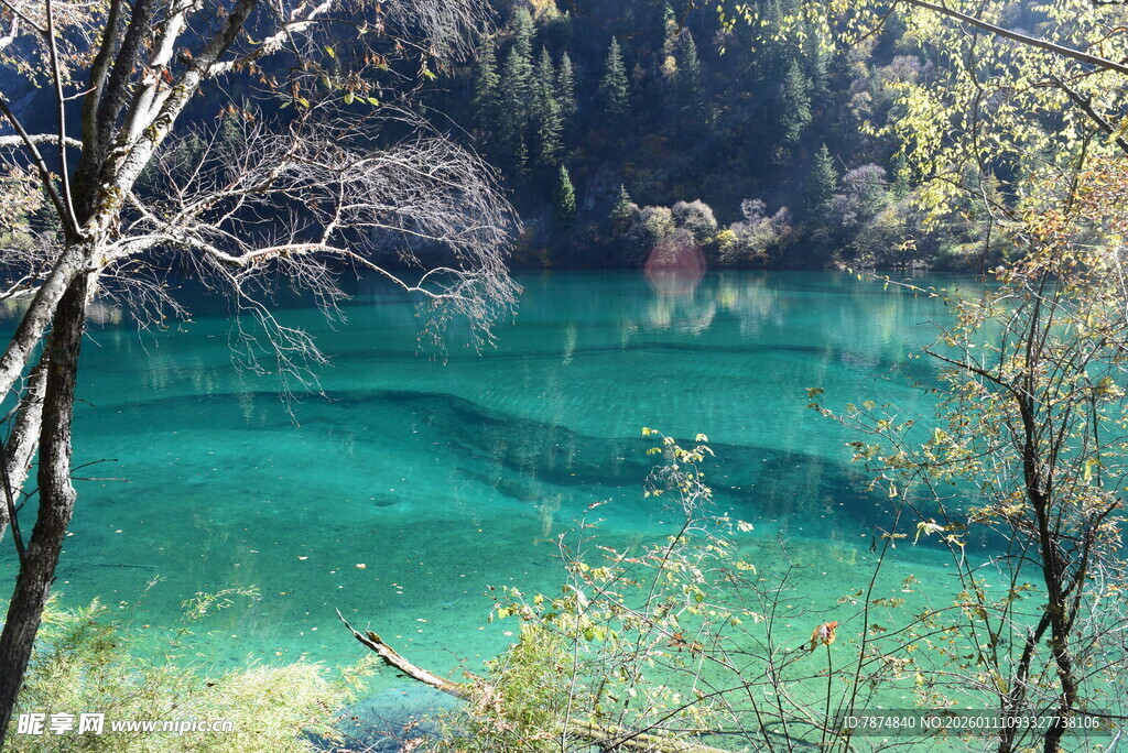 梦幻般的翠绿湖水景观
