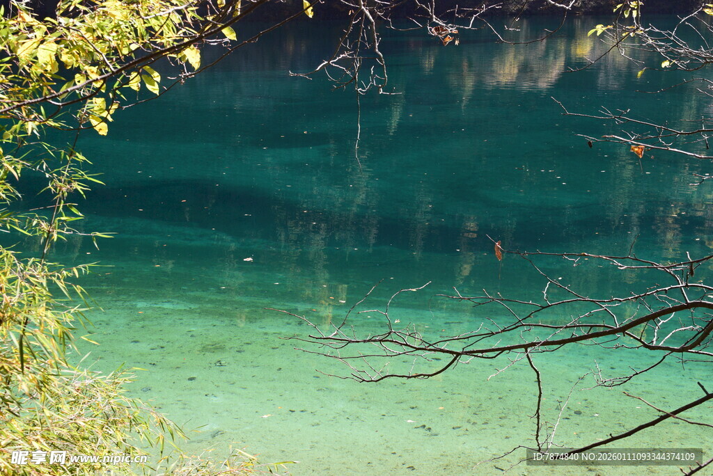清澈碧绿的湖水美景