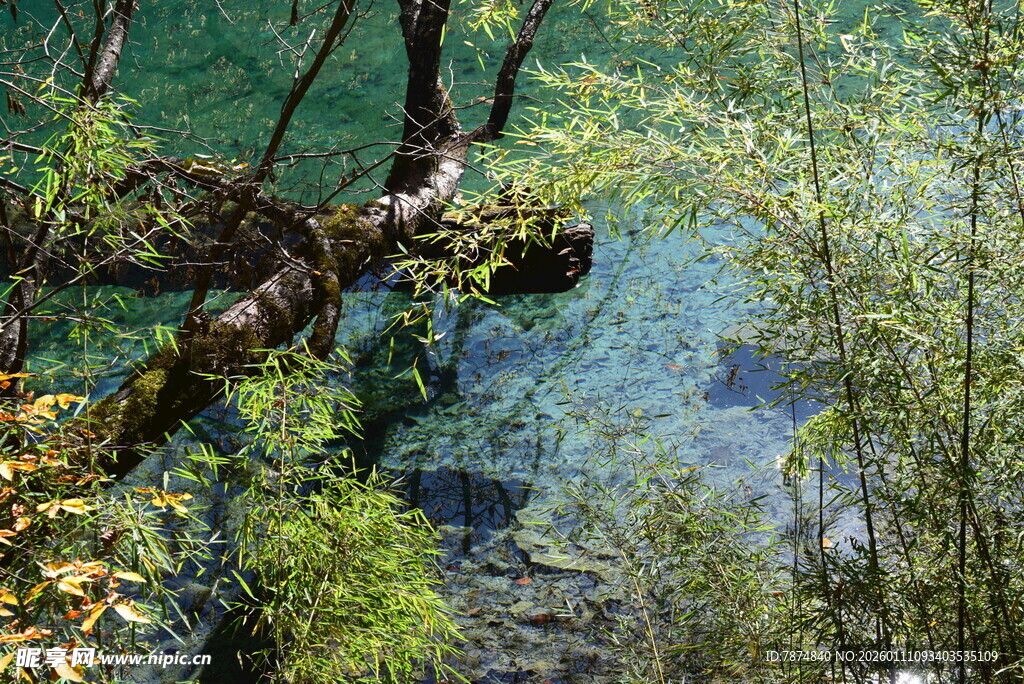 山林间的清澈溪流美景