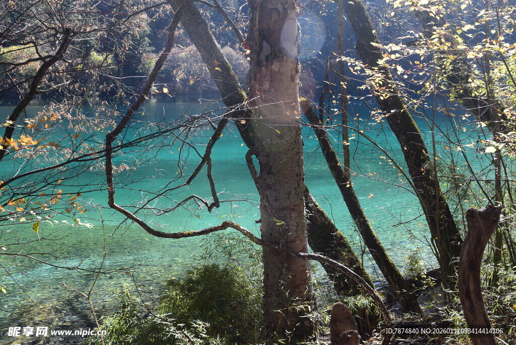 山林间的碧绿水潭