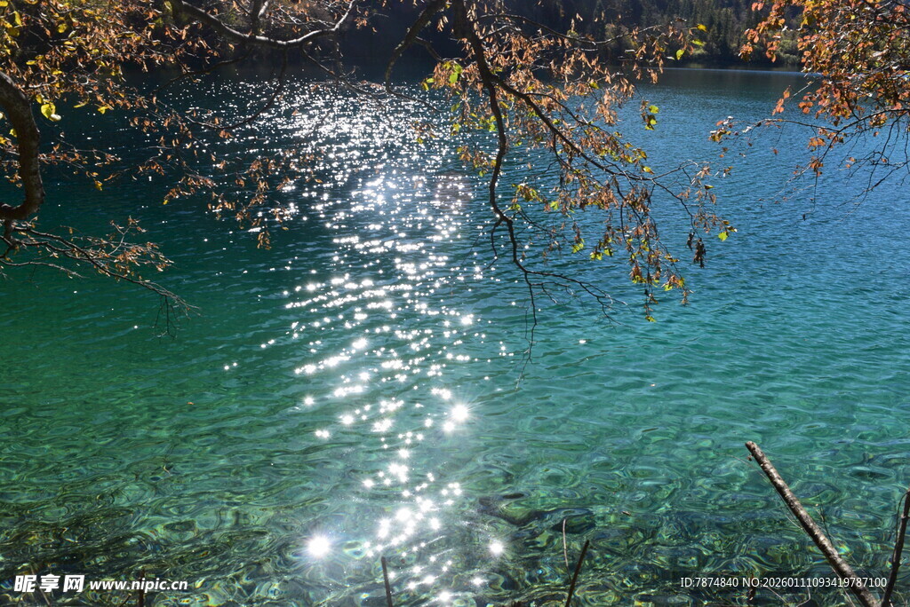 清澈湖水闪耀金色光斑