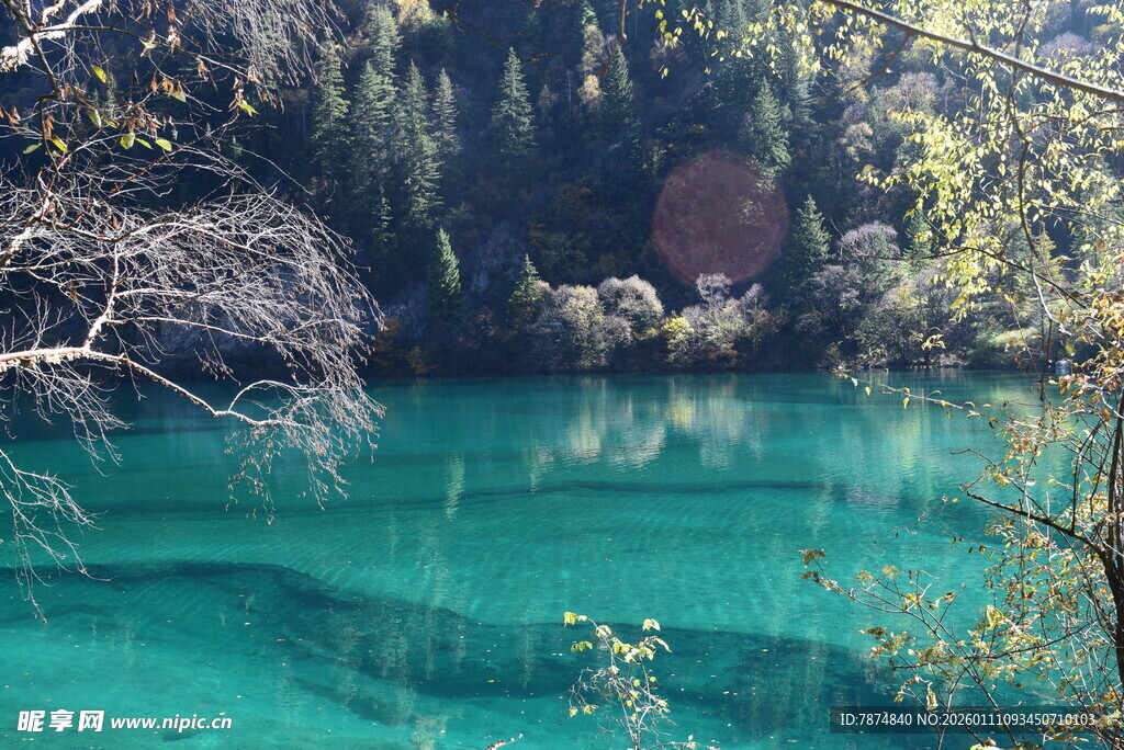 梦幻般的翠绿水边山林景色