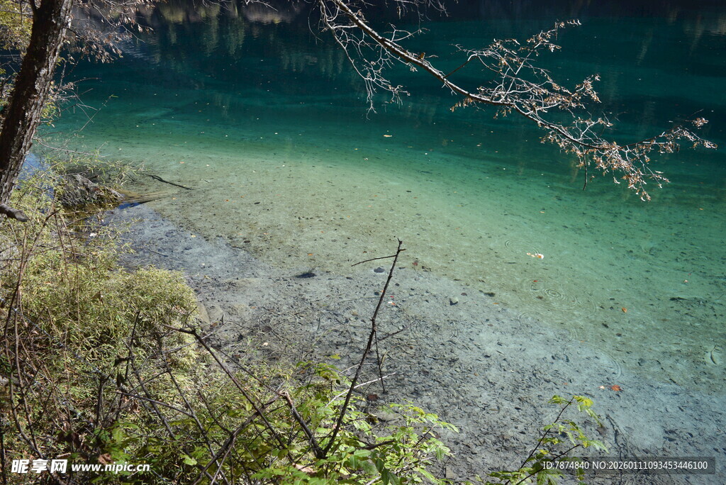 清澈碧绿的山间水域