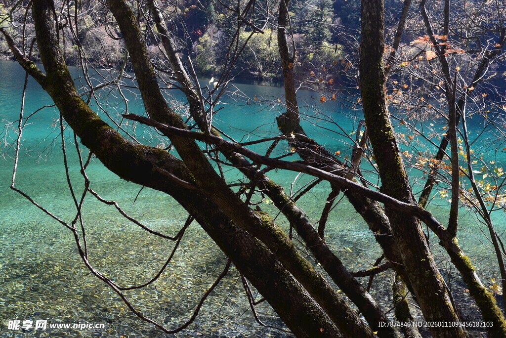 九寨沟绝美清澈湖水景观