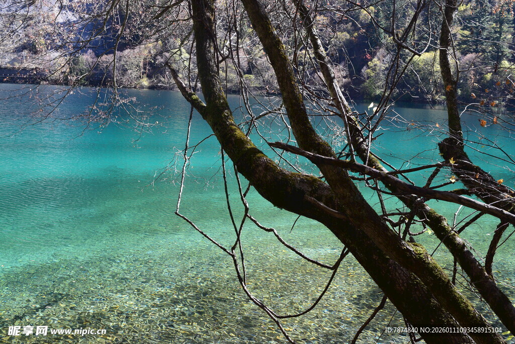 清澈蓝绿色湖水自然美景