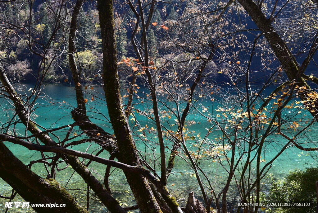 秋日山林间的幽蓝湖水