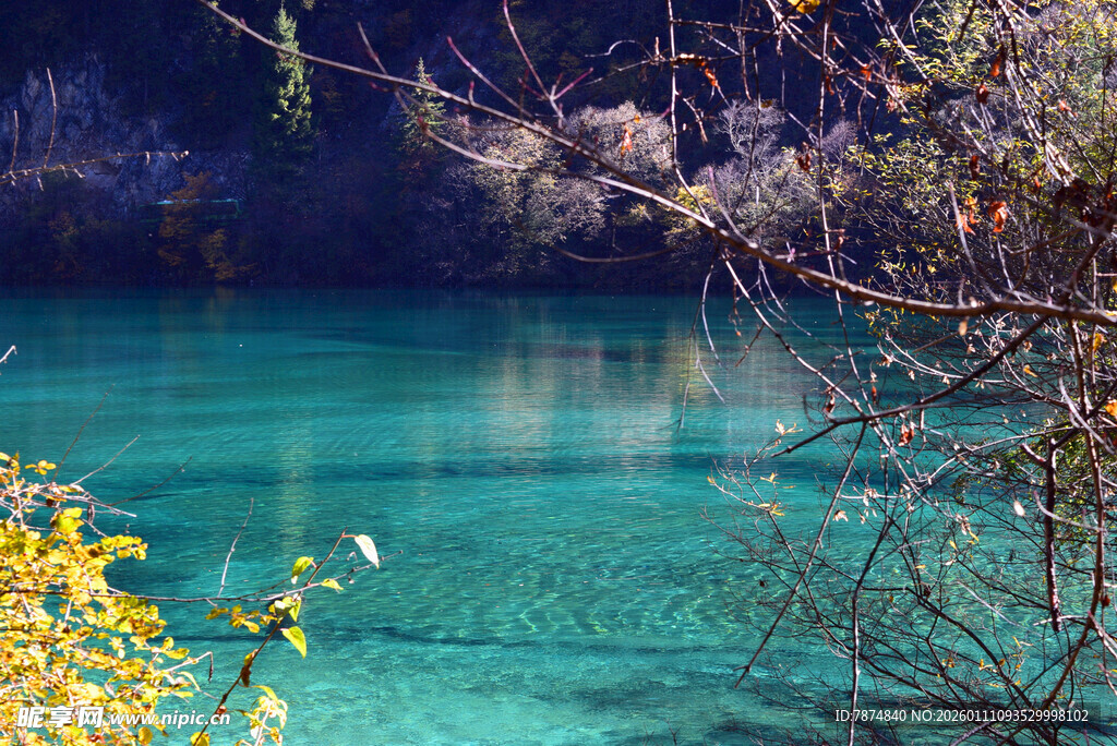 清澈蓝绿色湖水自然美景