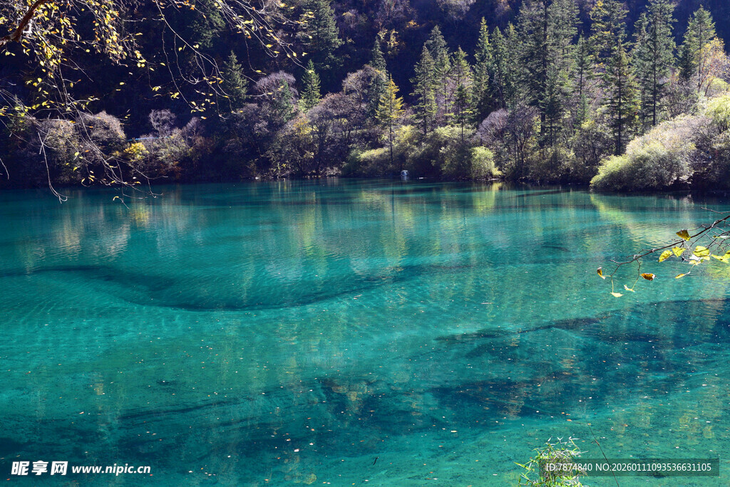 梦幻蓝绿色湖泊森林美景