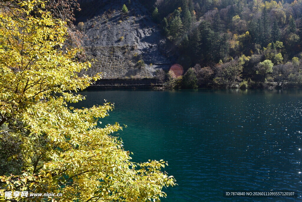 湖畔秋景 绿水与黄叶相映