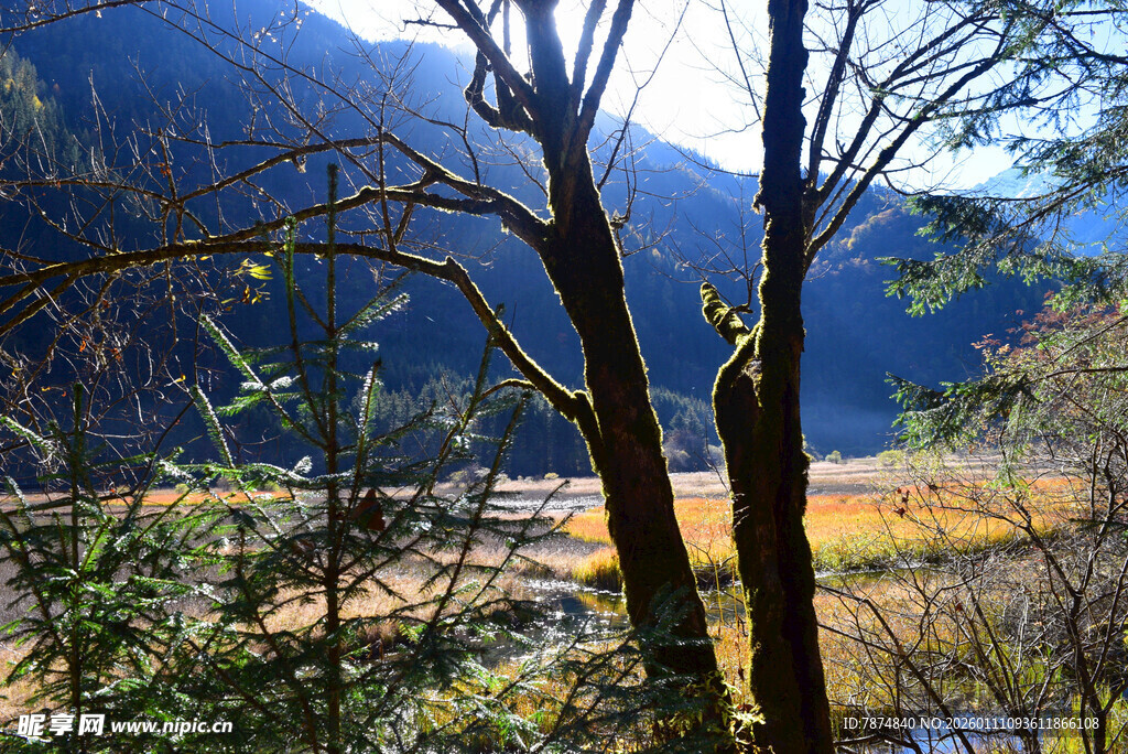 山林间的阳光风景