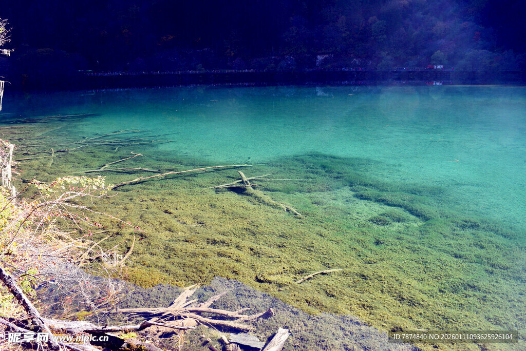 清澈见底的幽蓝水下世界