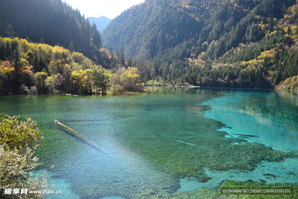九寨沟绝美清澈的湖景