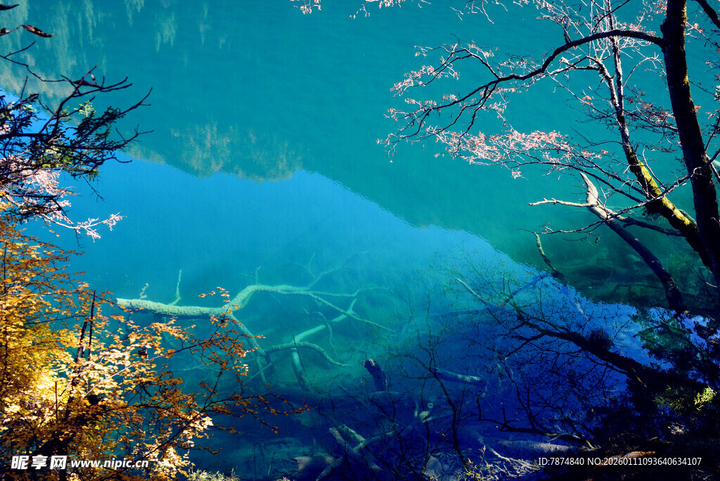 清澈湖底的水下奇妙景象