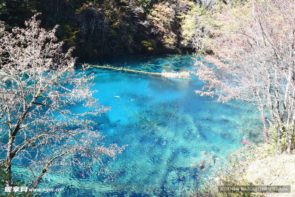 梦幻蓝湖 自然绝美之景
