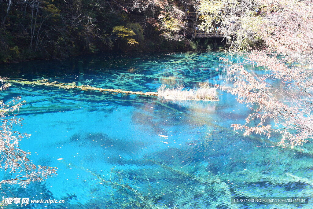 清澈蓝湖与岸边繁花美景