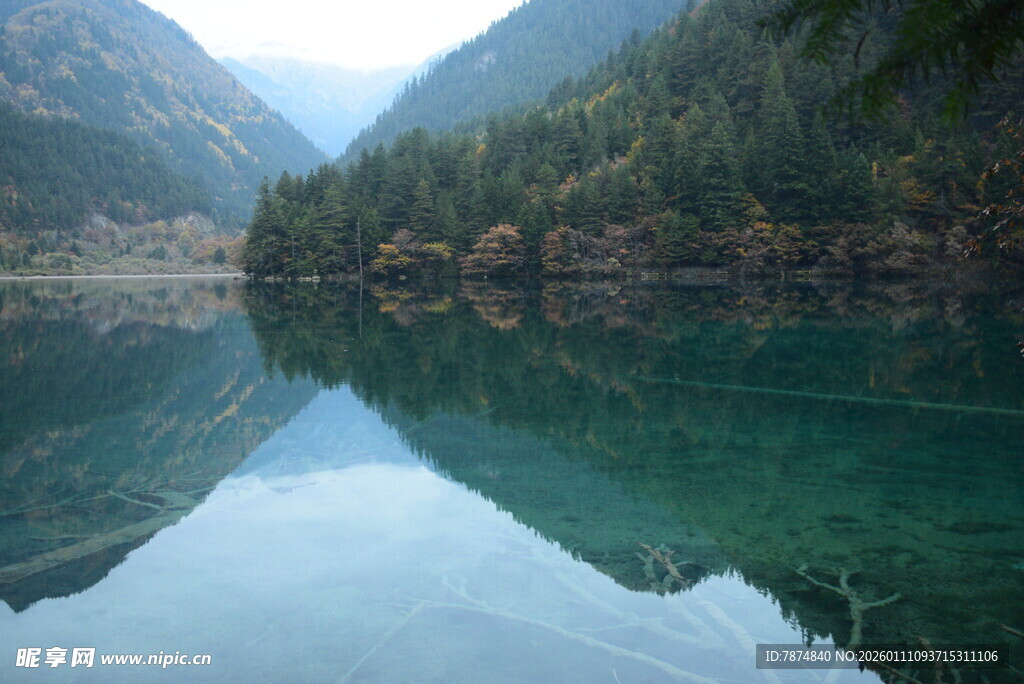 碧绿湖水映山林美景