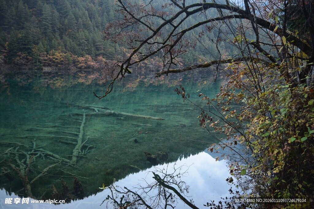 秋日幽湖 枯枝倒映美景