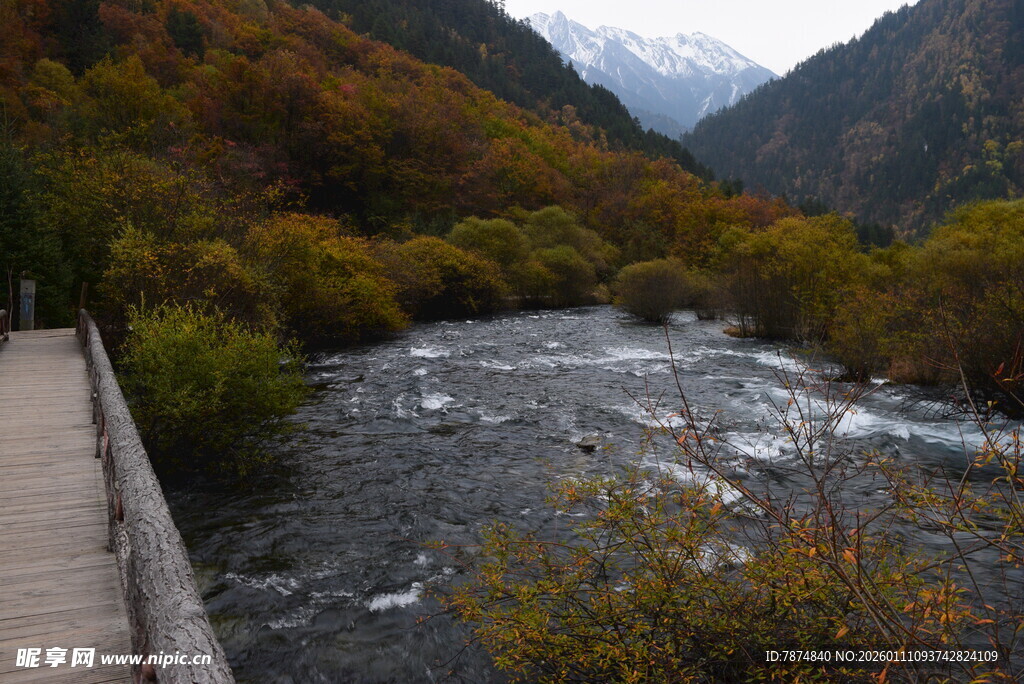 山间木栈道旁的湍急溪流