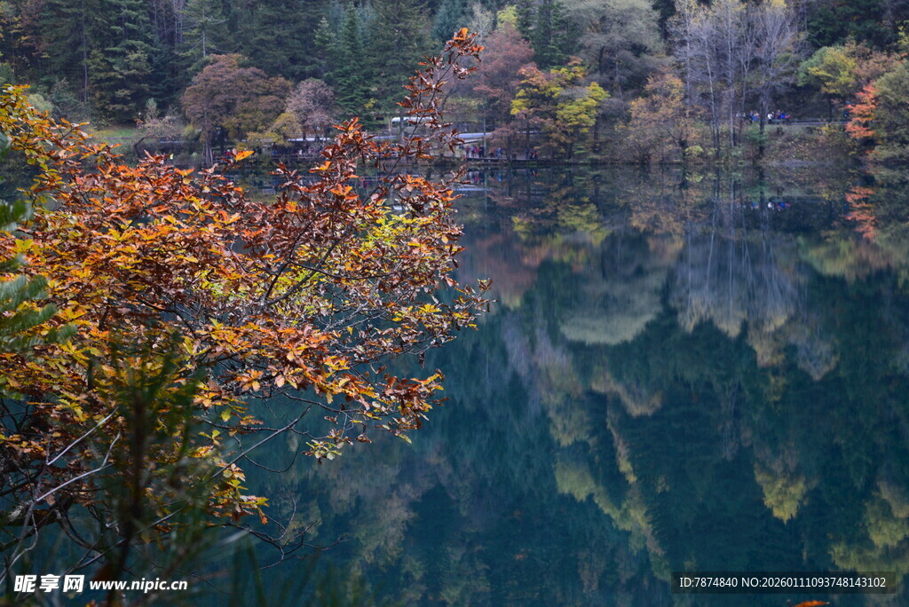 秋日湖畔斑斓景致