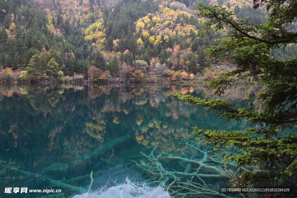 清澈湖景与岸边多彩树木