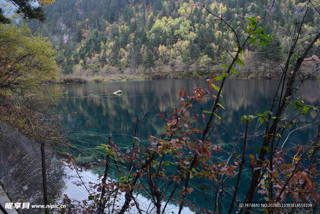 秋日山林中的碧绿湖水