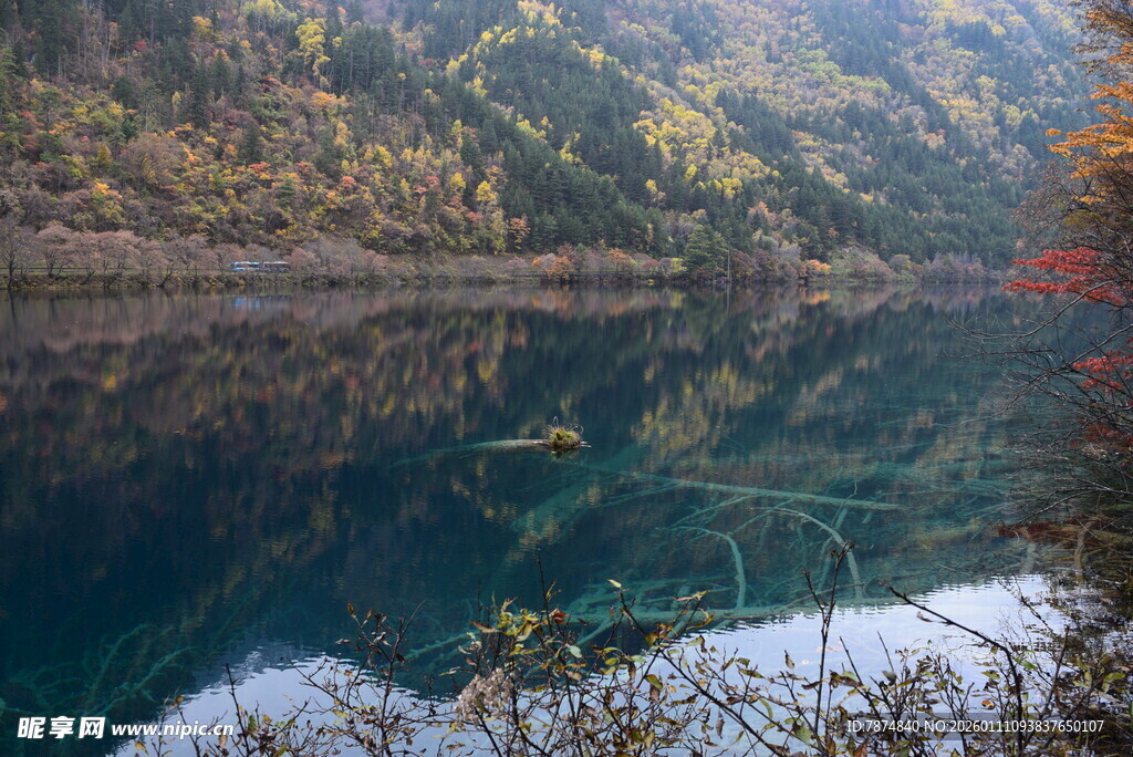 秋日静谧的清澈湖水美景