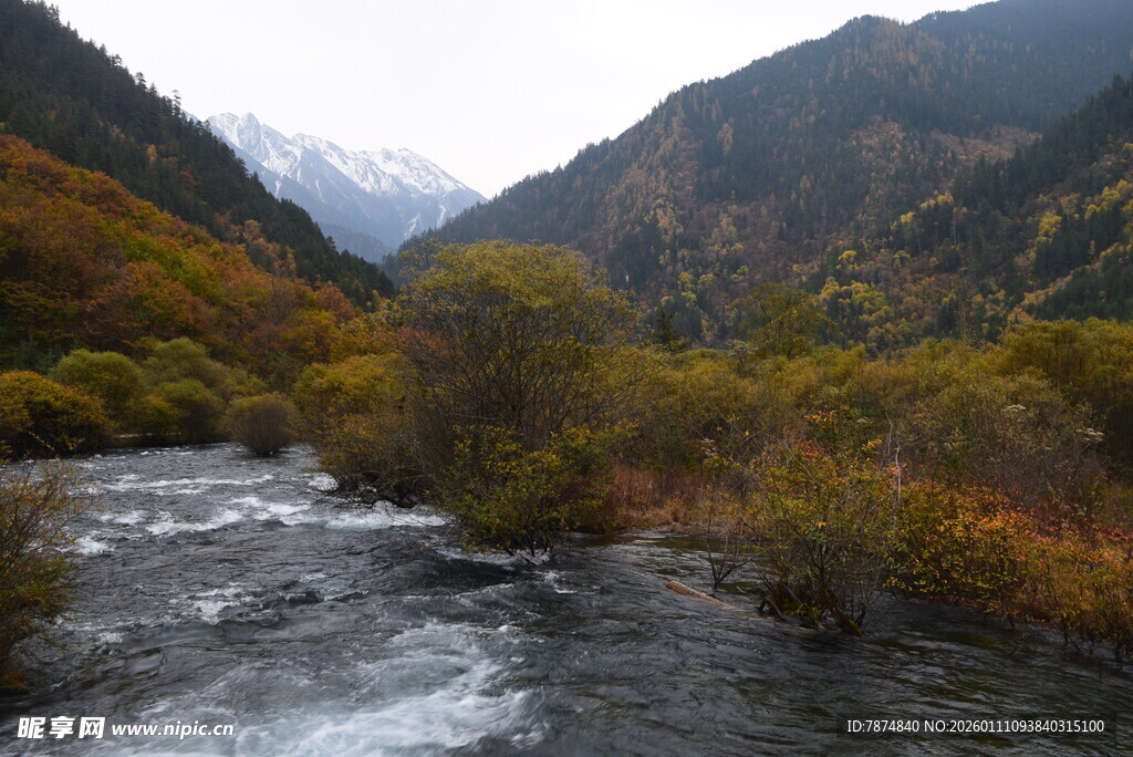 山间溪流秋色美景