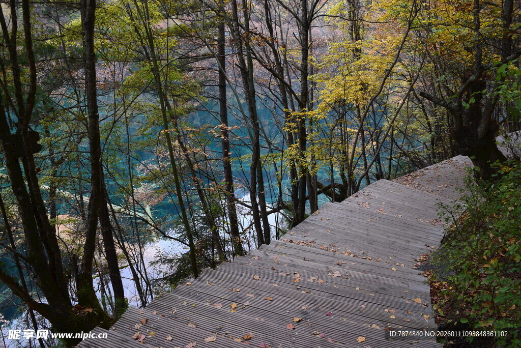 林间小径旁的幽蓝湖泊