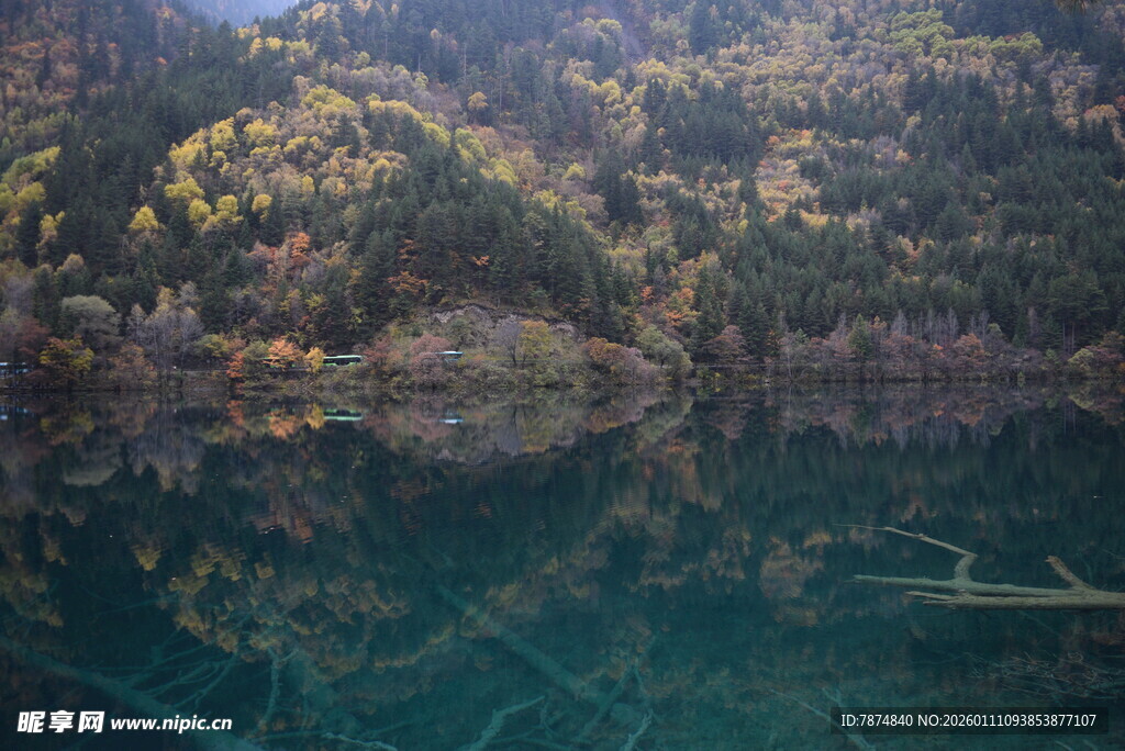 清澈湖水映山林美景
