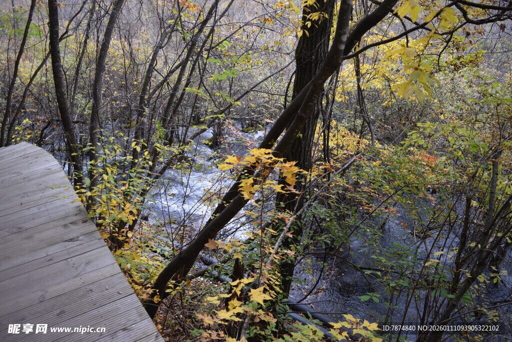 秋日溪边步道的斑斓景致