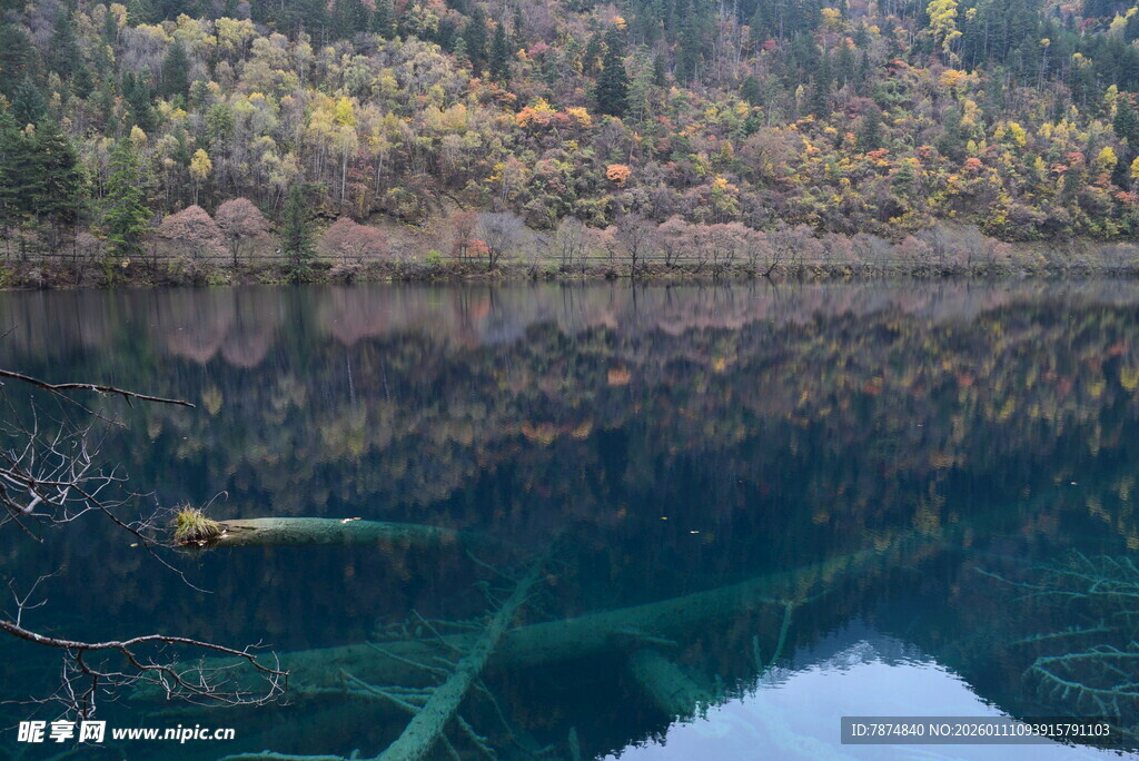 清澈湖水下的自然景观