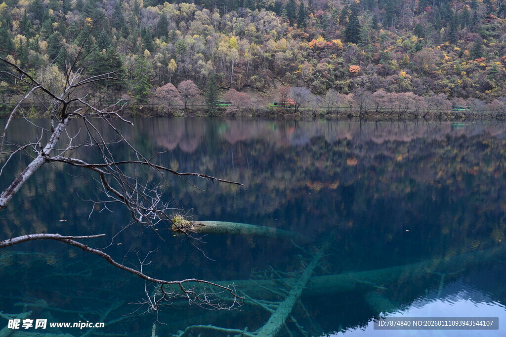 静谧湖景倒映多彩山林