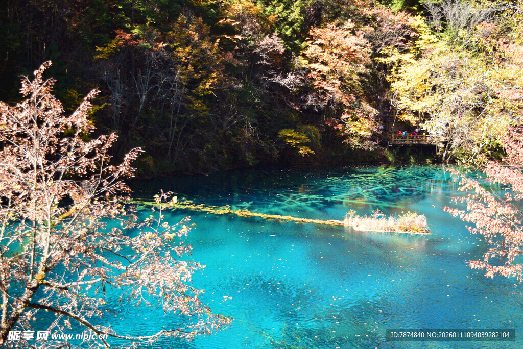 蓝湖泛舟赏烂漫春花