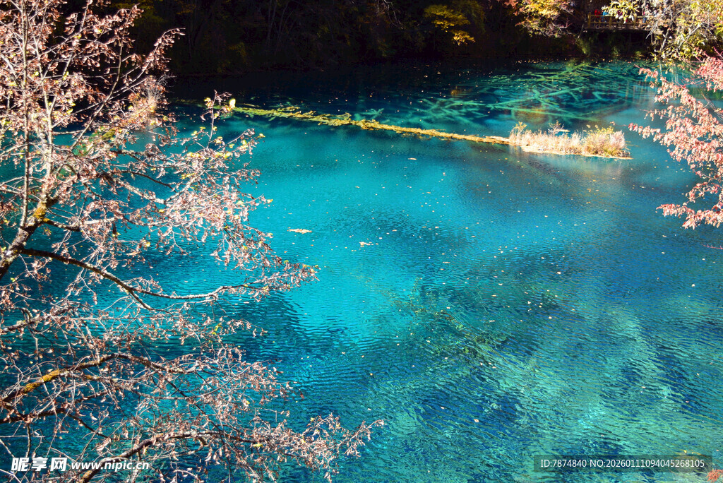 梦幻蓝湖与岸边繁茂花枝