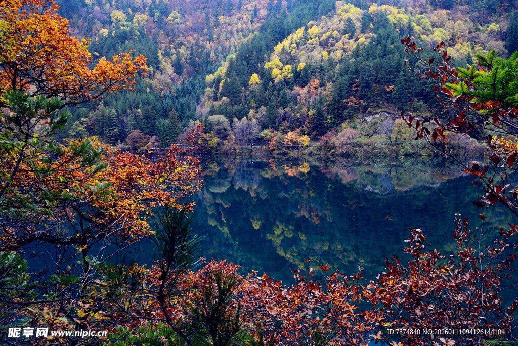 秋日山林中的静谧湖泊