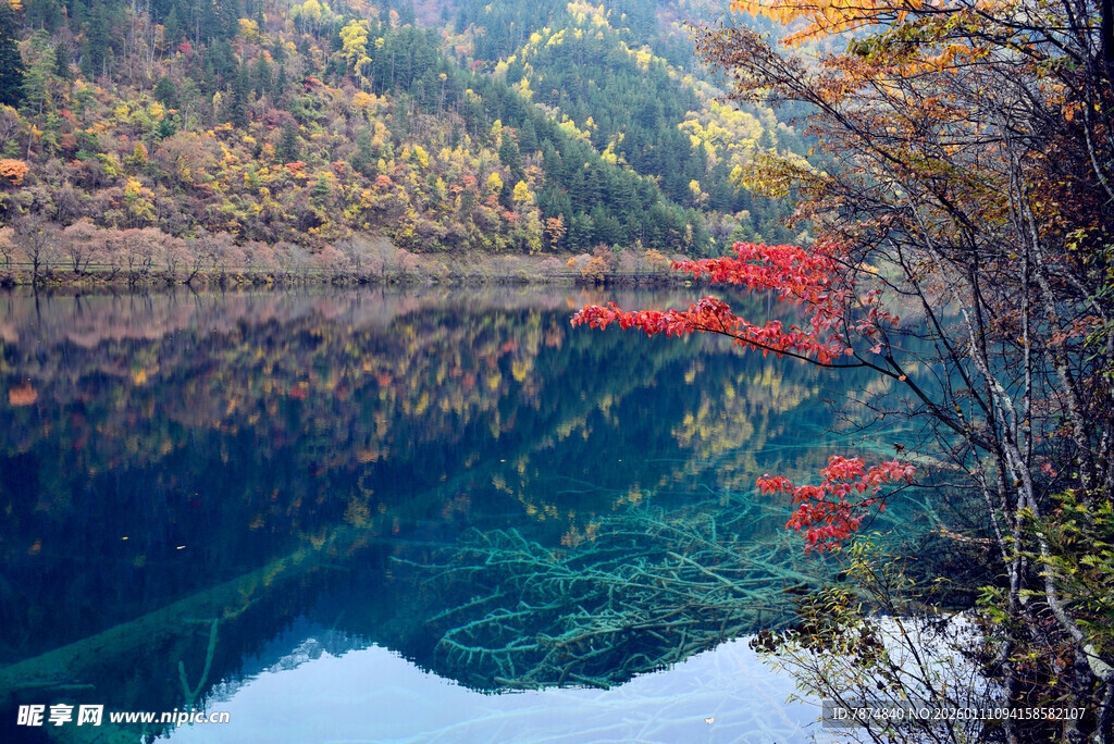 秋日湖景 红叶碧水相映