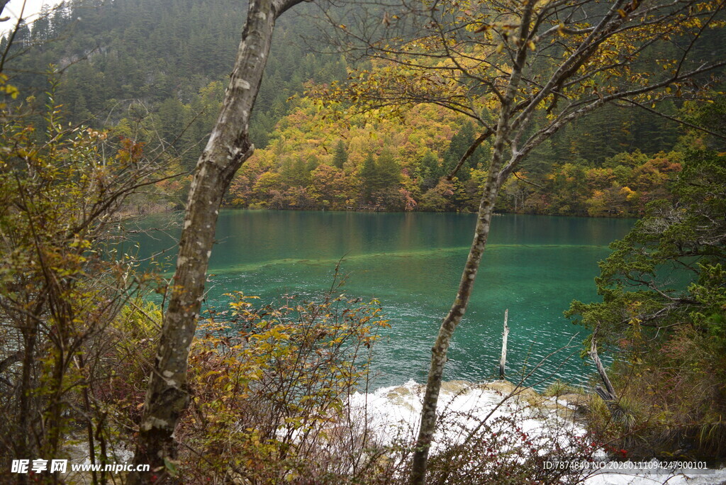 秋日彩林环绕的碧绿湖水