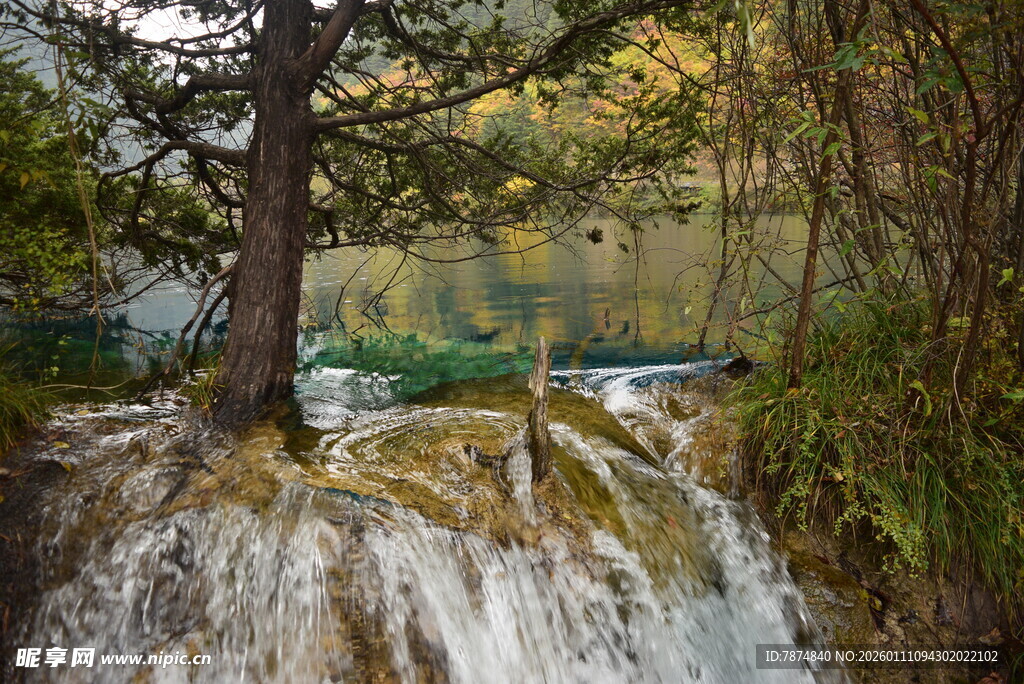 森林中的美丽瀑布景观
