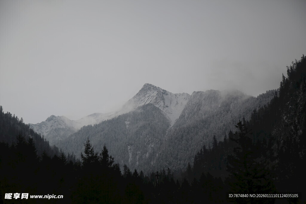 雾中群山与森林美景