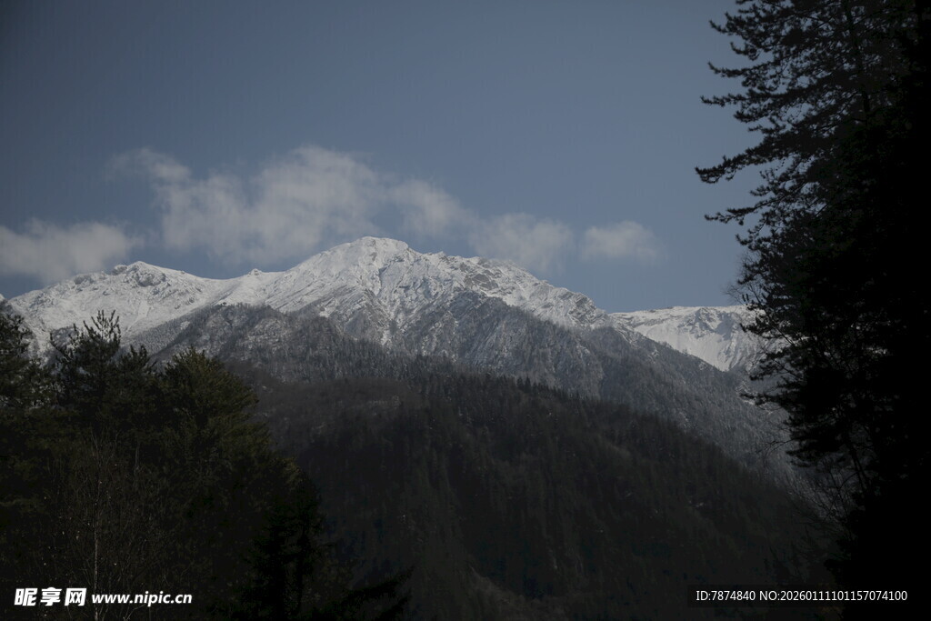 雪山森林景致