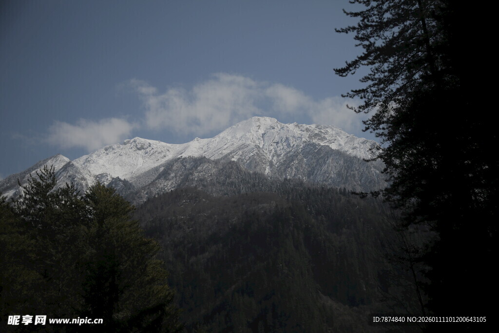雪山森林美景