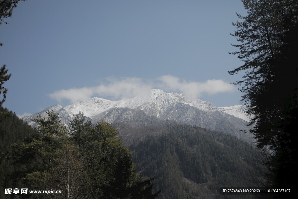 雪山森林美景
