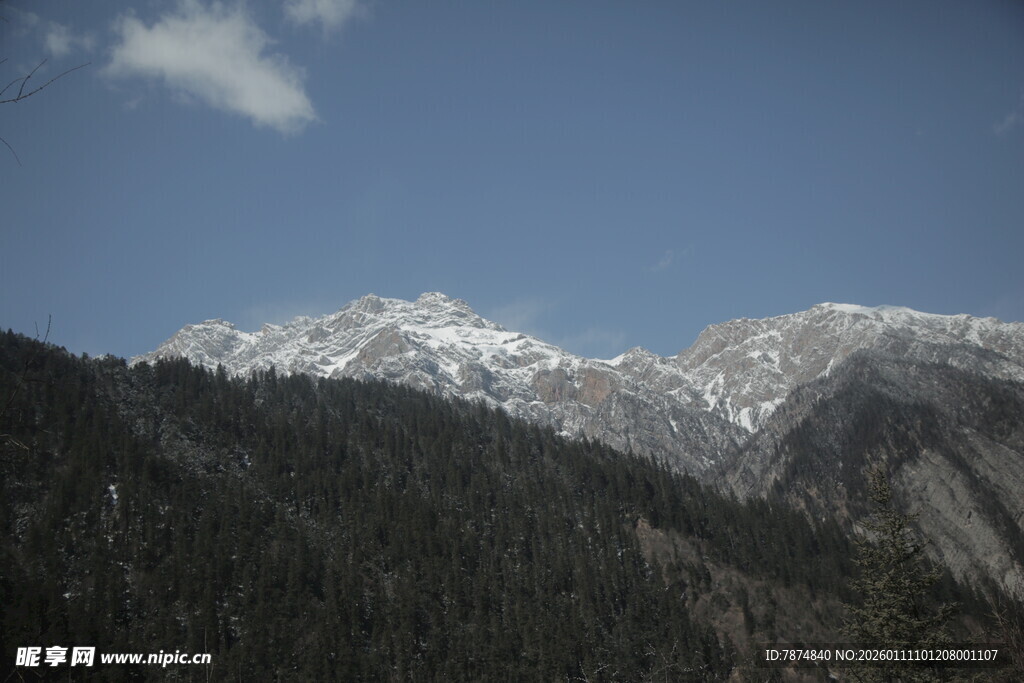 雪山下的茂密山林