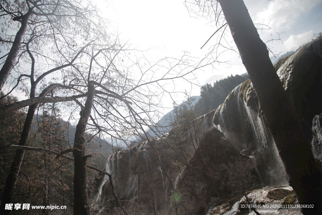 山间枯树与冰瀑景观