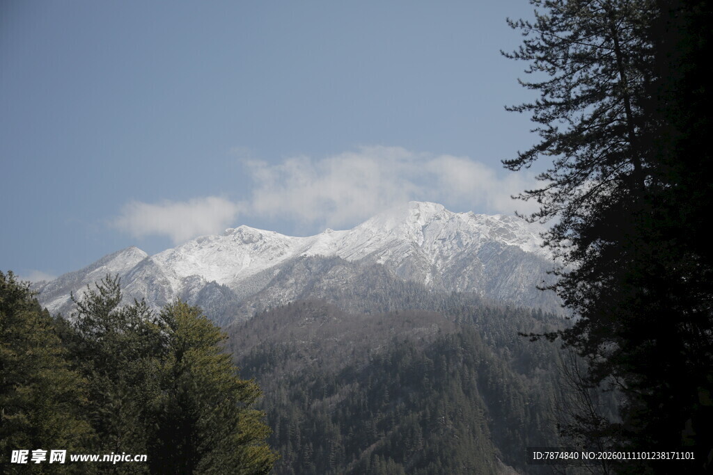雪山森林美景