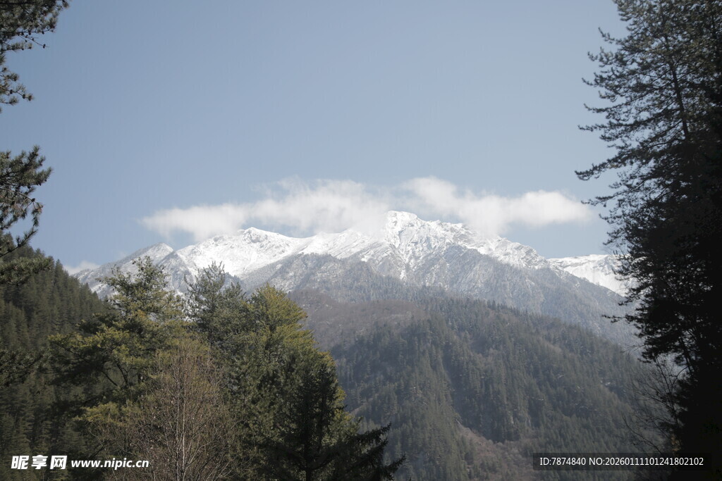 山林间远眺巍峨雪山