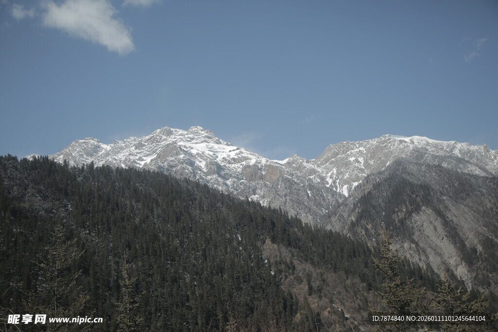 雪山下的葱郁山林