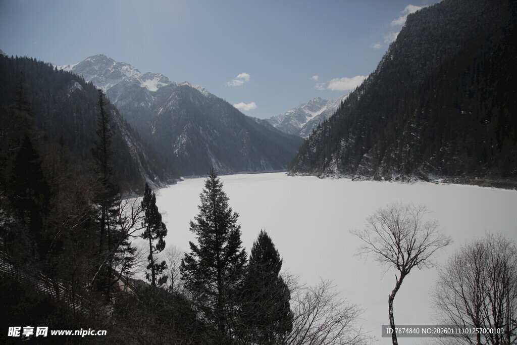 冬日雪山松林美景