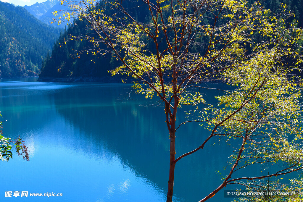 湖畔绿树映蓝湖美景